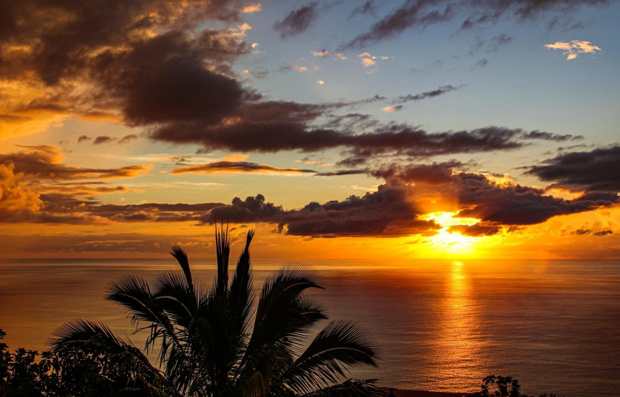 Ocean Sunset Daire Saint-Leu Dış mekan fotoğraf